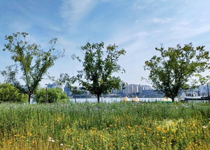 3 이소연-도시풍경