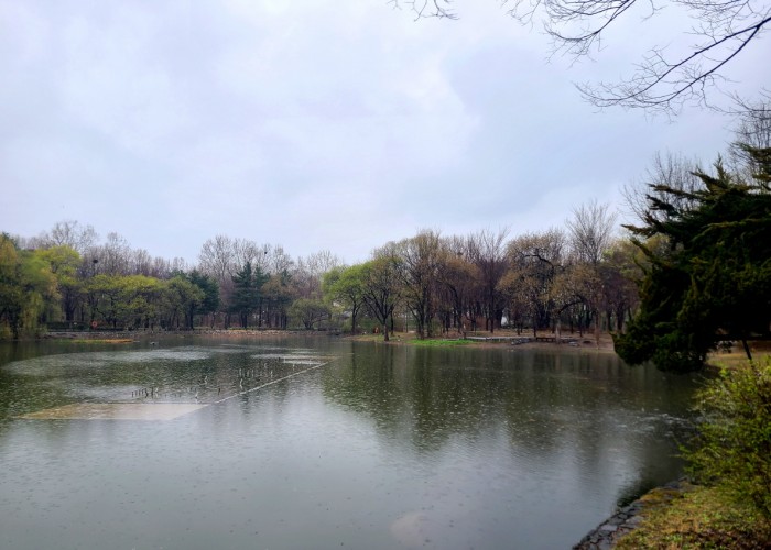 4 김경숙-예쁘게 비가 내려요~