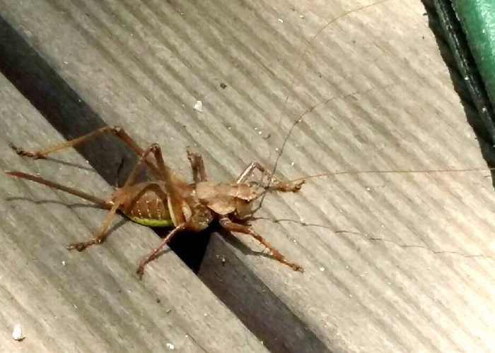 제3회 나도사진작가전 작품1 (20작품)