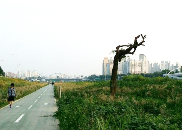 제3회 나도사진작가전 작품3 (14작품)