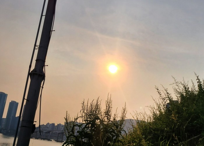 6 송정미-그리움